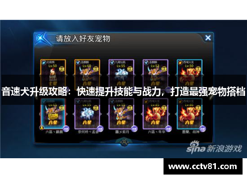 音速犬升级攻略：快速提升技能与战力，打造最强宠物搭档