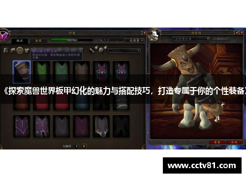 《探索魔兽世界板甲幻化的魅力与搭配技巧，打造专属于你的个性装备》