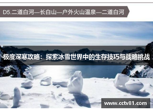 极度深寒攻略：探索冰雪世界中的生存技巧与战略挑战