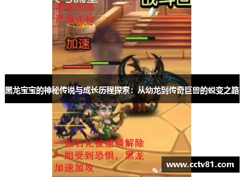 黑龙宝宝的神秘传说与成长历程探索：从幼龙到传奇巨兽的蜕变之路
