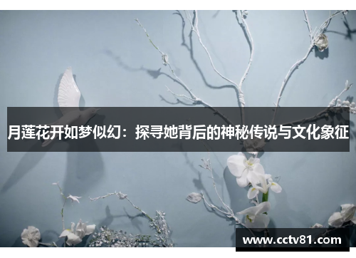 月莲花开如梦似幻：探寻她背后的神秘传说与文化象征